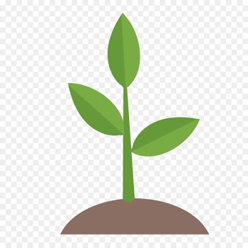 Portable Network Graphics Image Adobe Photoshop Vector graphics - germination 