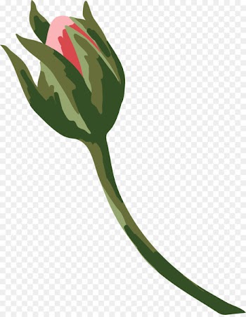 Portable Network Graphics Image Clip art Adobe Photoshop Design - ganesha flower 