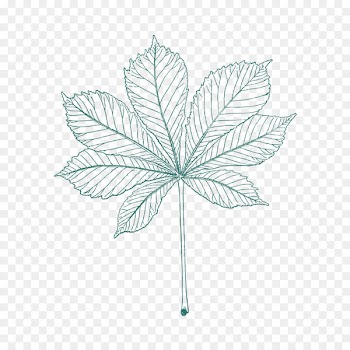 Portable Network Graphics Image Clip art Adobe Photoshop Design - maple leaf pattern 