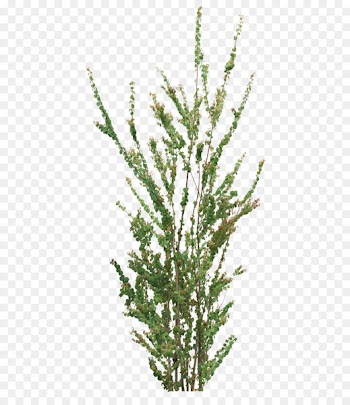 Portable Network Graphics Image Clip art Copyright Tree - landscape garden 