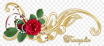 Portable Network Graphics Image Clip art Photography GIF - glamor ribbon 