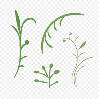 Portable Network Graphics Image Design Adobe Photoshop Clip art - brown twigs 