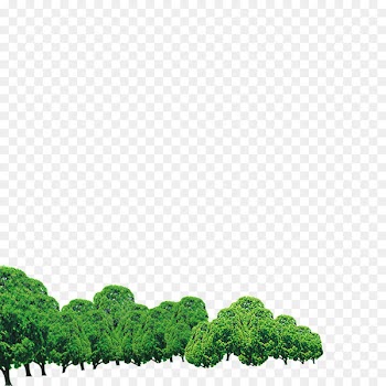 Portable Network Graphics Image Design Watercolor painting Forest -  