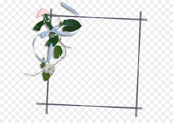 Portable Network Graphics Image Download Fuyan Central Kindergarten Design - transparent flower 