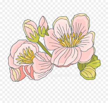 Portable Network Graphics Image Floral design Flower Clip art - flower 