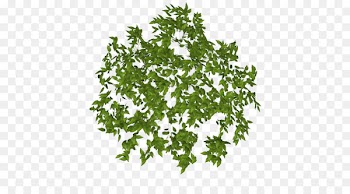Portable Network Graphics Image Leaf Greens Web hosting service - kurama button 