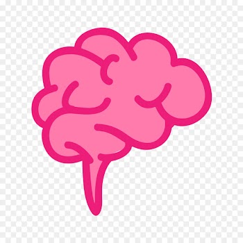 Portable Network Graphics Image Photograph Clip art Video - brainpng streamer 