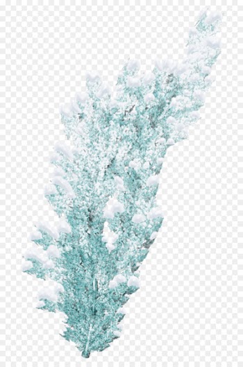 Portable Network Graphics Image Pine Christmas Day Snow - snow clock 