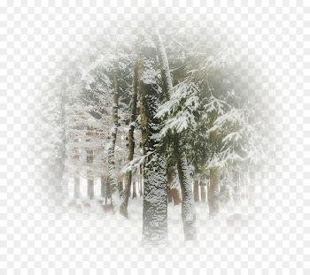 Portable Network Graphics Image Season Winter Blizzard -  