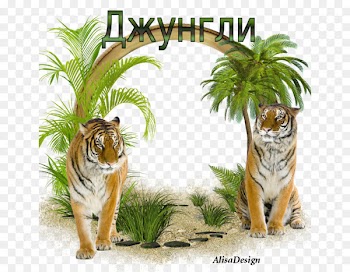 Portable Network Graphics Image Sheena, Queen of the Jungle Picture Frames - jungle 