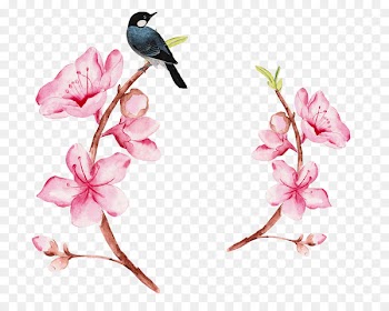 Portable Network Graphics Image Watercolor painting Download - magpie on branch 