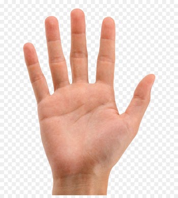 Portable Network Graphics Index finger Hand Image - hand shake 