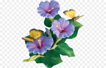 Portable Network Graphics Japanese morning glory Violet Flower - flower image 