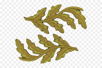 Portable Network Graphics Leaf Clip art English oak Image - leaf 