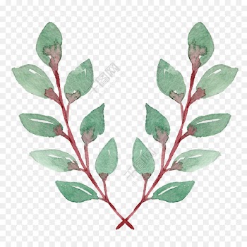 Portable Network Graphics Leaf Design Image Drawing - adjustor watercolor 