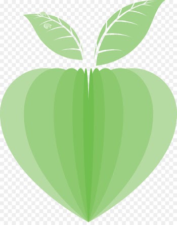 Portable Network Graphics Leaf Image Design - cell phone graphics 