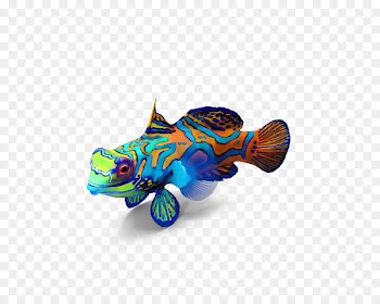 Portable Network Graphics Mandarinfish Image Desktop Wallpaper - fish 