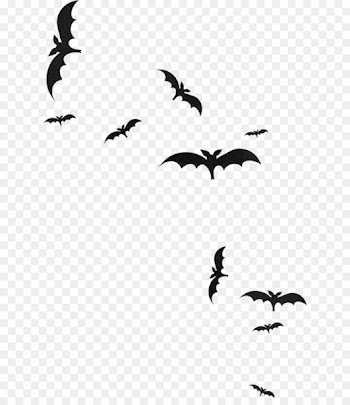 Portable Network Graphics Microbat Photography Clip art Image - bats 