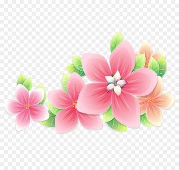 Portable Network Graphics Petal Image Flower Adobe Photoshop - storehouse 