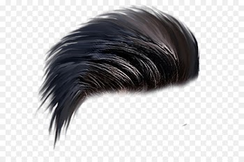 Portable Network Graphics PicsArt Photo Studio Hairstyle Image - hair 