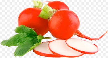 Portable Network Graphics Piquillo pepper Garden radish Vegetable Clip art - vegetable 