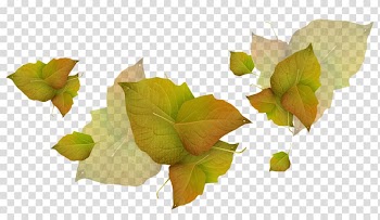 Portable Network Graphics Psd Leaf, Leaf transparent background PNG clipart