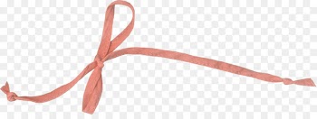 Portable Network Graphics Ribbon Adobe Photoshop Shoelaces Clip art - ribbon 