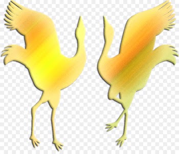 Portable Network Graphics Rooster Clip art Image Chicken - best sites 