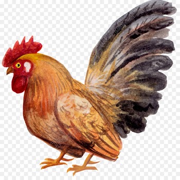 Portable Network Graphics Rooster Image Transparency Clip art - cocpng poster 