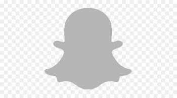 Portable Network Graphics Social media Vector graphics Snapchat Computer Icons - social media 