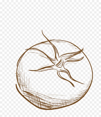 Portable Network Graphics Tomato Image Vector graphics Drawing - ajo cartoon 