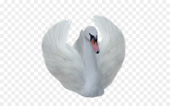 Portable Network Graphics Transparency Clip art Mute swan Image - cygnini pattern 
