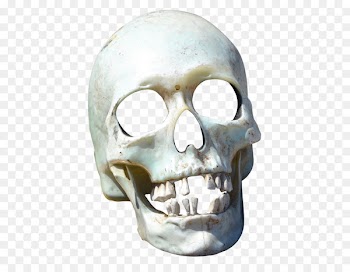 Portable Network Graphics Transparency Clip art Skull Image - skull 