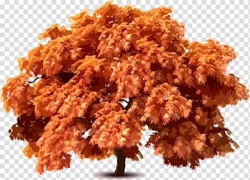 Portable Network Graphics Tree Illustration, tree transparent background PNG clipart