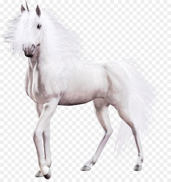 Portable Network Graphics Unicorn Pony Mustang Clip art - unicorn 