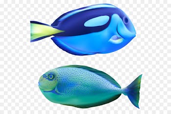 Portable Network Graphics Vector graphics Clip art Fish Image - fish 