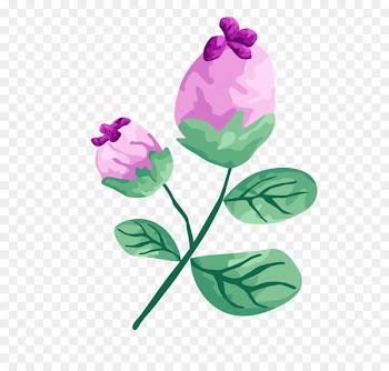 Portable Network Graphics Vector graphics Illustration Encapsulated PostScript Gouache - rose plant 