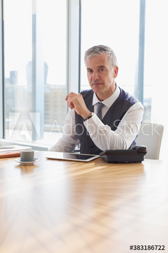 Portrait confident corporate businessman using digital tablet