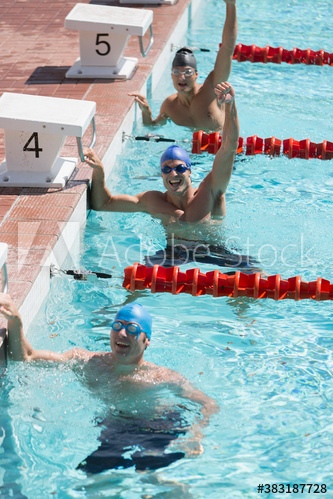 Portrait confident male swimmers cheering in sunny swimming pool