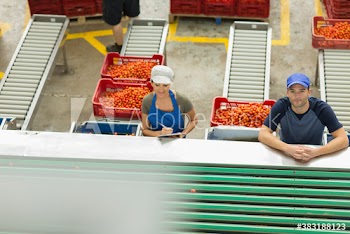 Portrait confident workers in food processing plant