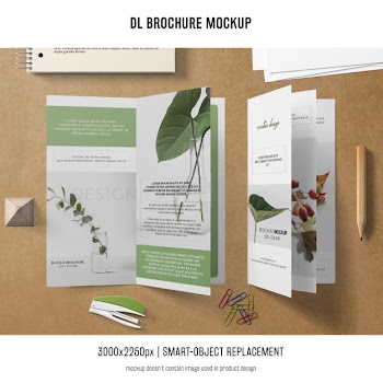 Portrait dl brochure mockup Free Psd