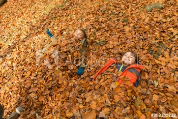Portrait happy brother and sister playing in autumn leaves