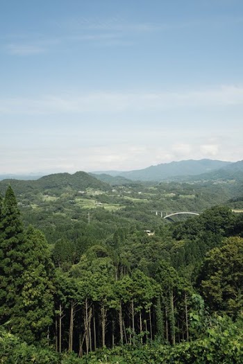 Portrait Image Of Landscape With Bridge