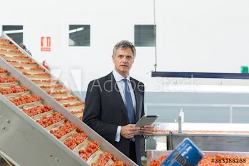 Portrait male manager with digital tablet tomato food processing plant