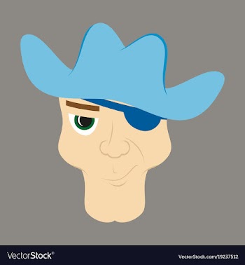 Portrait man in cowboy hat flat vector image