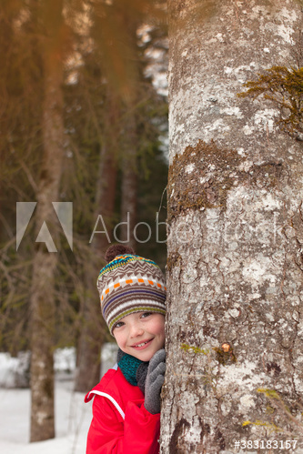 Portrait playful boy hiding behind tree in snowy woods
