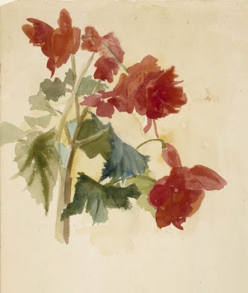 Portrait study (verso begonias), by Albert | Free Photo - rawpixel