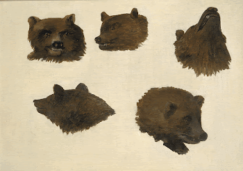 Portraits of Two Grizzly Bears, | Free Photo - rawpixel