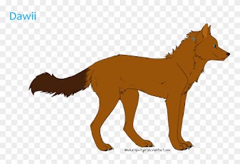 Pose Or Head Shot - Wolf Hybrid