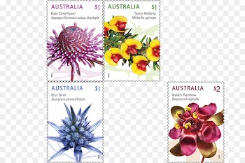 Postage Stamps Wildflower Australia Post Mail - australian flowers 